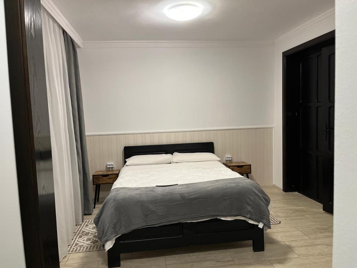 Casa Mocanitei Vişeu de Sus Buitenkant foto