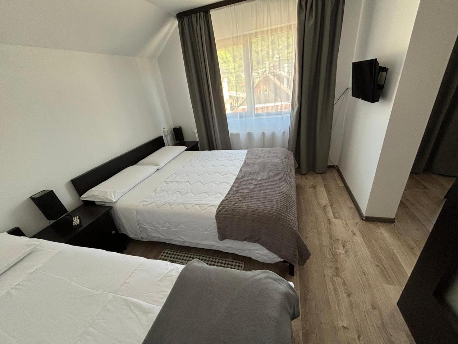 Casa Mocanitei Vişeu de Sus Buitenkant foto