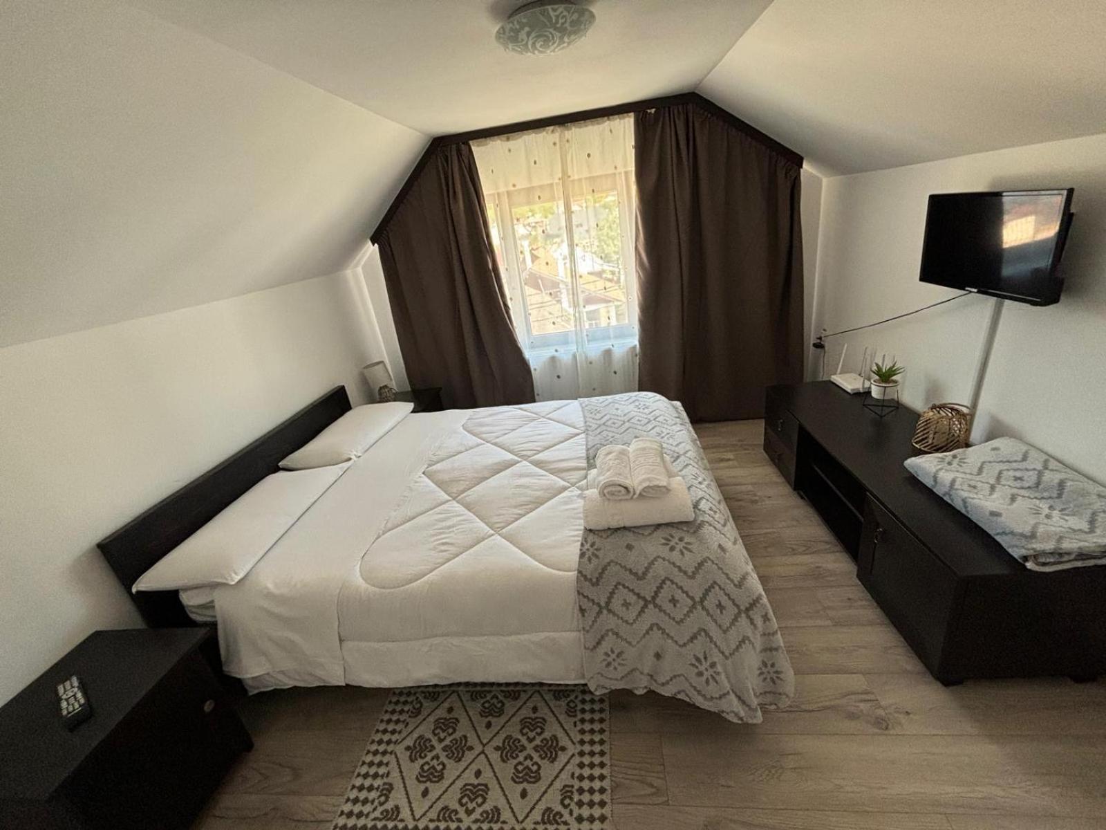 Casa Mocanitei Vişeu de Sus Buitenkant foto
